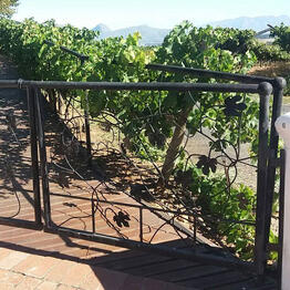 Winefarm Fencing